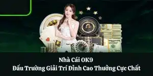 nha-cai-ok9-anh-dai-dien